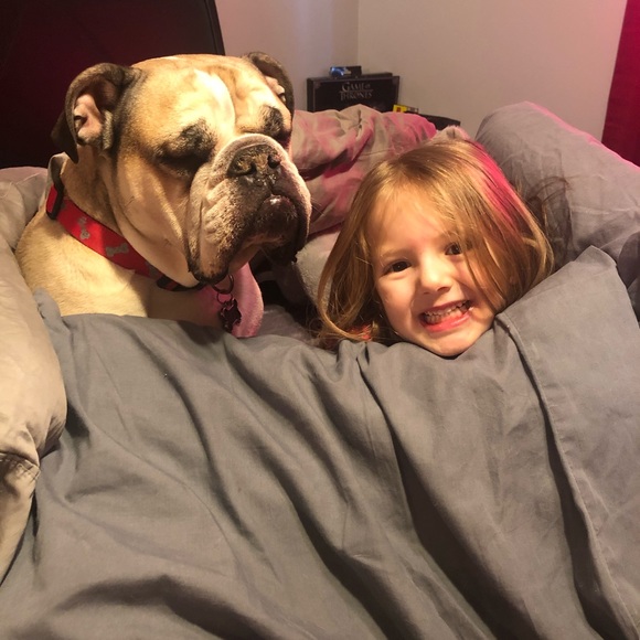 Welcome to my closet! Enjoy a few pictures of my bully and his baby ❤️❤️ - Picture 6 of 16